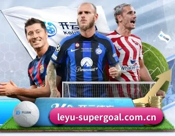 leyu-supergoal.com.cn的故事