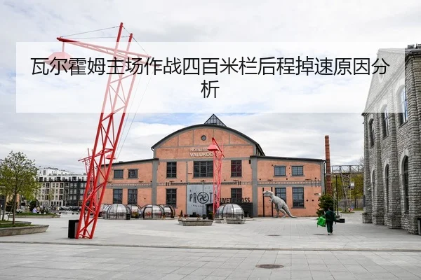wa-er-huo-mu-zhu-chang-zuo-zhan-si-bai-mi-lan-hou-cheng-diao-su-yuan-yin-fen-xi-2-441.jpg