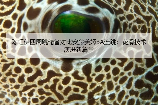 chen-hong-yi-si-zhou-tiao-chu-bei-dui-bi-an-teng-mei-ji-lian-tiao-hua-hua-ji-shu-yan-jin-xin-pian-zhang-2-757.jpg