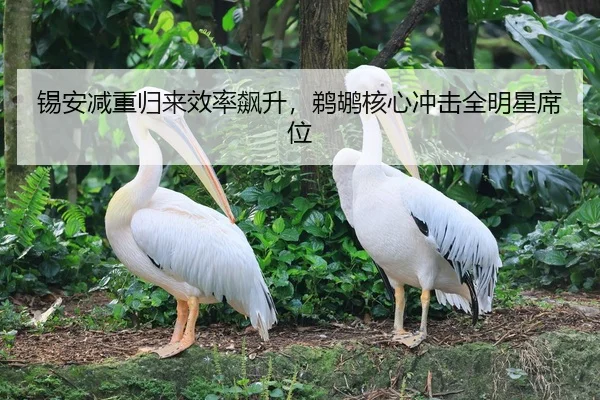 xi-an-jian-zhong-gui-lai-xiao-lv-biao-sheng-ti-hu-he-xin-chong-ji-quan-ming-xing-xi-wei-2-432.jpg