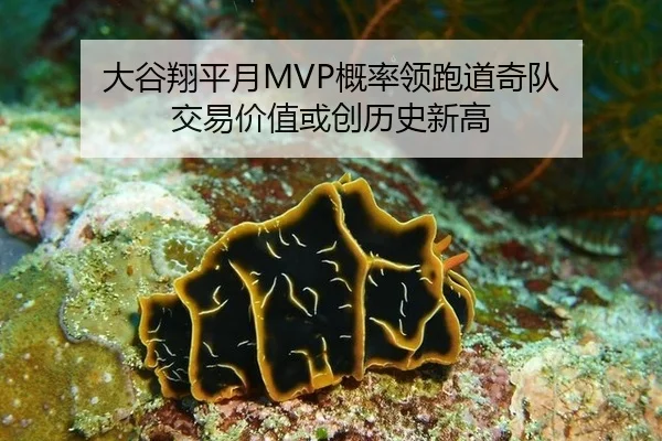 da-gu-xiang-ping-yue-gai-lv-ling-pao-dao-qi-dui-jiao-yi-jia-zhi-huo-chuang-li-shi-xin-gao-2-371.jpg